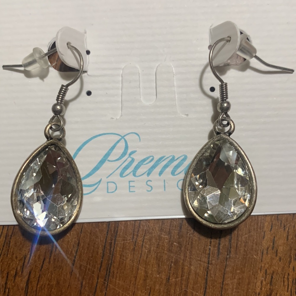 NWT Premiere Designs Liz Earrings
